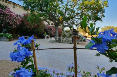 Bâtisse provençale entourée de cyprès et de champs verts, avec des arbres en arrière-plan sous un ciel clair.