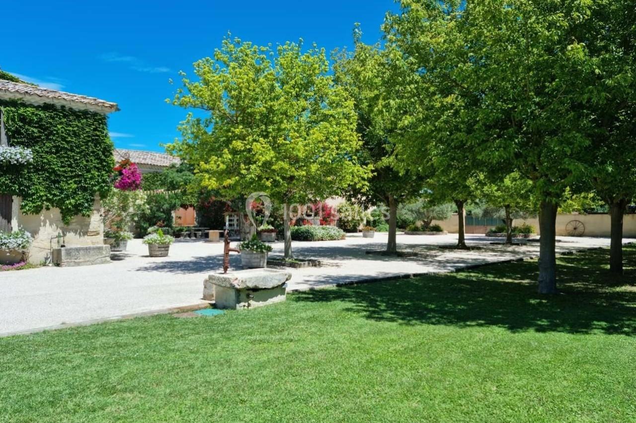 Cour ensoleillée avec pelouse, arbres ombragés, bâtiments en pierre recouverts de végétation et ciel bleu dégagé.