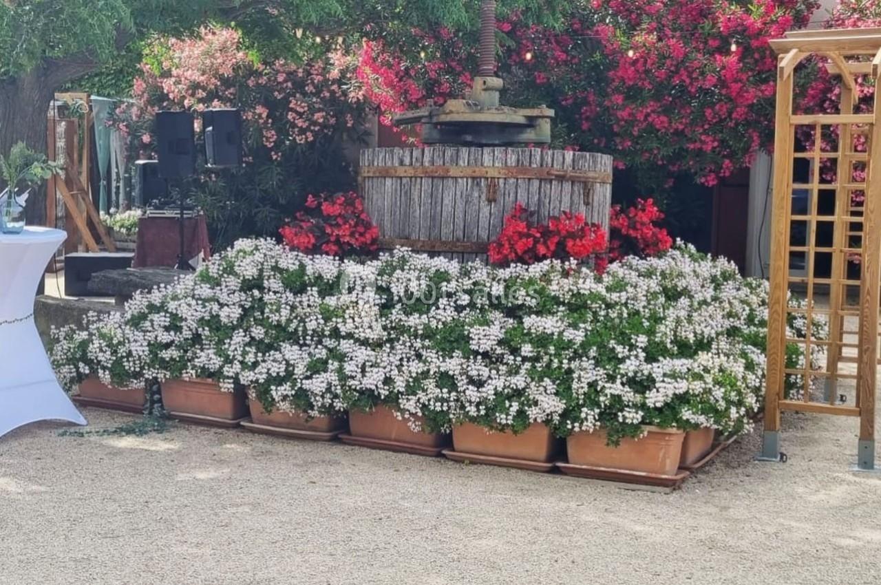 Un ancien pressoir en bois entouré de pots de fleurs blanches et rouges dans un jardin arboré.