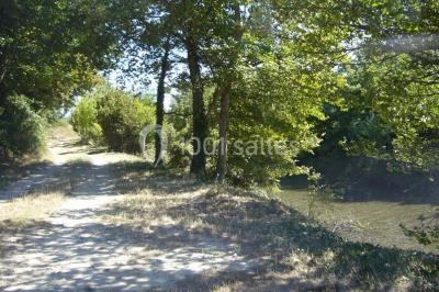 Bâtisse provençale entourée de cyprès et de champs verts, avec des arbres en arrière-plan sous un ciel clair.
