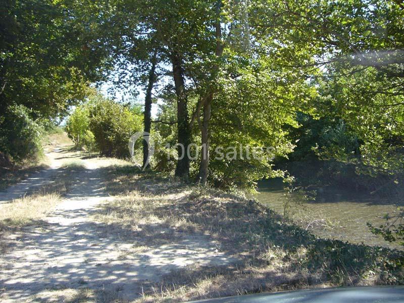 Chemin de terre ombragé bordé d'arbres, longeant un cours d'eau sous un ciel dégagé.