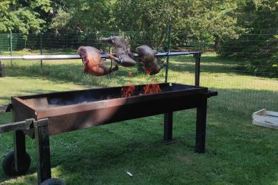 Viande en cuisson sur une broche au-dessus d'un barbecue en plein air, dans un jardin verdoyant.