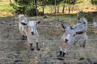 La paillotte du Boulodrome avec sa vue sur le coucher de soleil