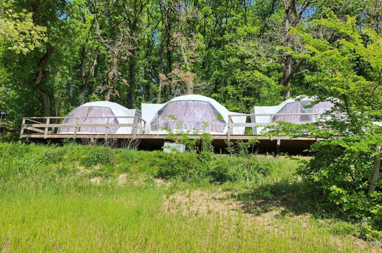 Location salle Molières (Tarn-et-Garonne) - Domaine de Massoulac #18