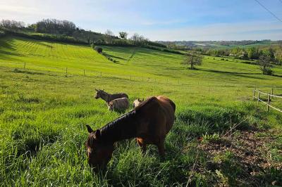 La paillotte du Boulodrome avec sa vue sur le coucher de soleil