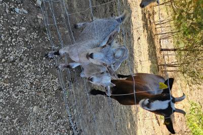 La paillotte du Boulodrome avec sa vue sur le coucher de soleil