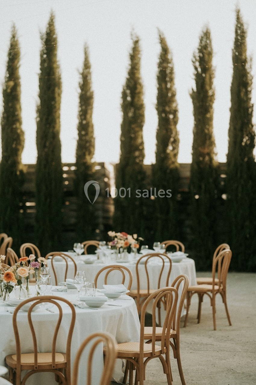 Tables rondes dressées avec nappes blanches et chaises en bois, disposées en extérieur devant des cyprès.