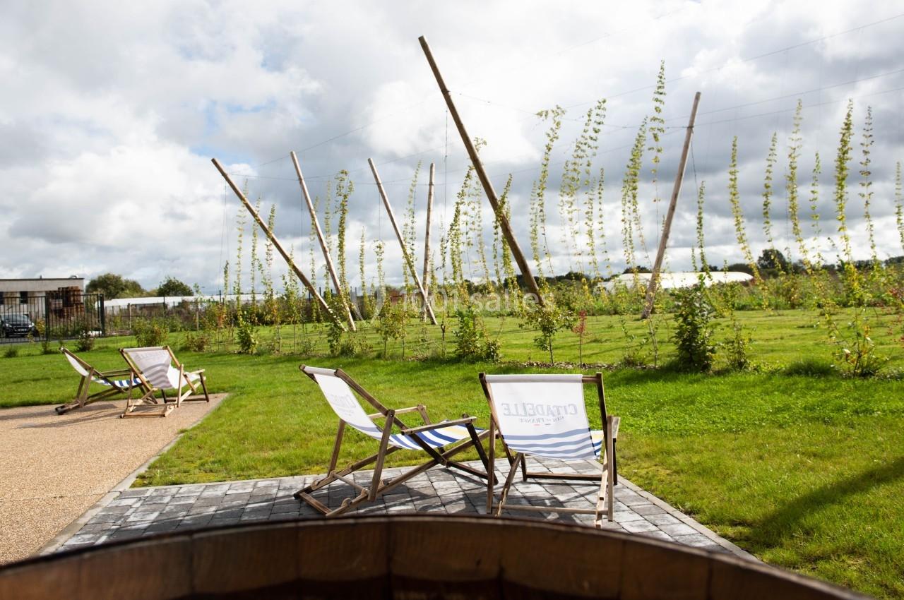 Chaises longues installées sur une pelouse face à des plantations de houblon, sous un ciel partiellement nuageux.