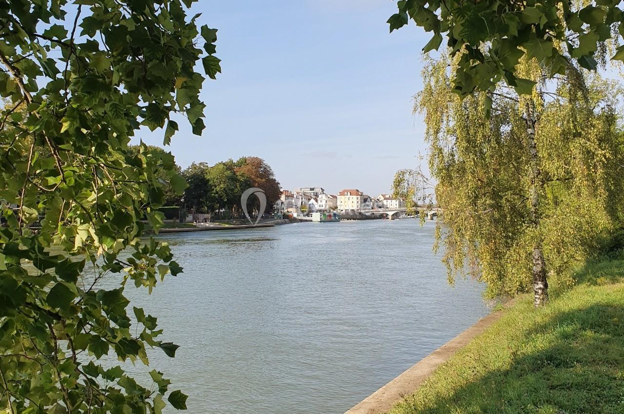 Vue d'une rivière bordée d'arbres, avec des bâtiments et un pont visibles à l'arrière-plan sous un ciel dégagé.
