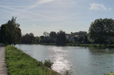 Rivière bordée d'arbres sous un ciel dégagé avec des traînées d'avions, reflet du soleil sur l'eau.