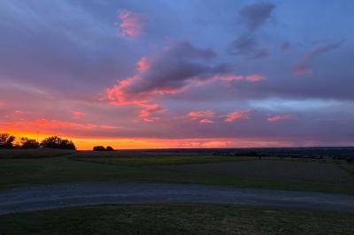 Plat gastronomique composé de viande, légumes, champignons, sauce caramélisée et croustillant sur une assiette décorative.