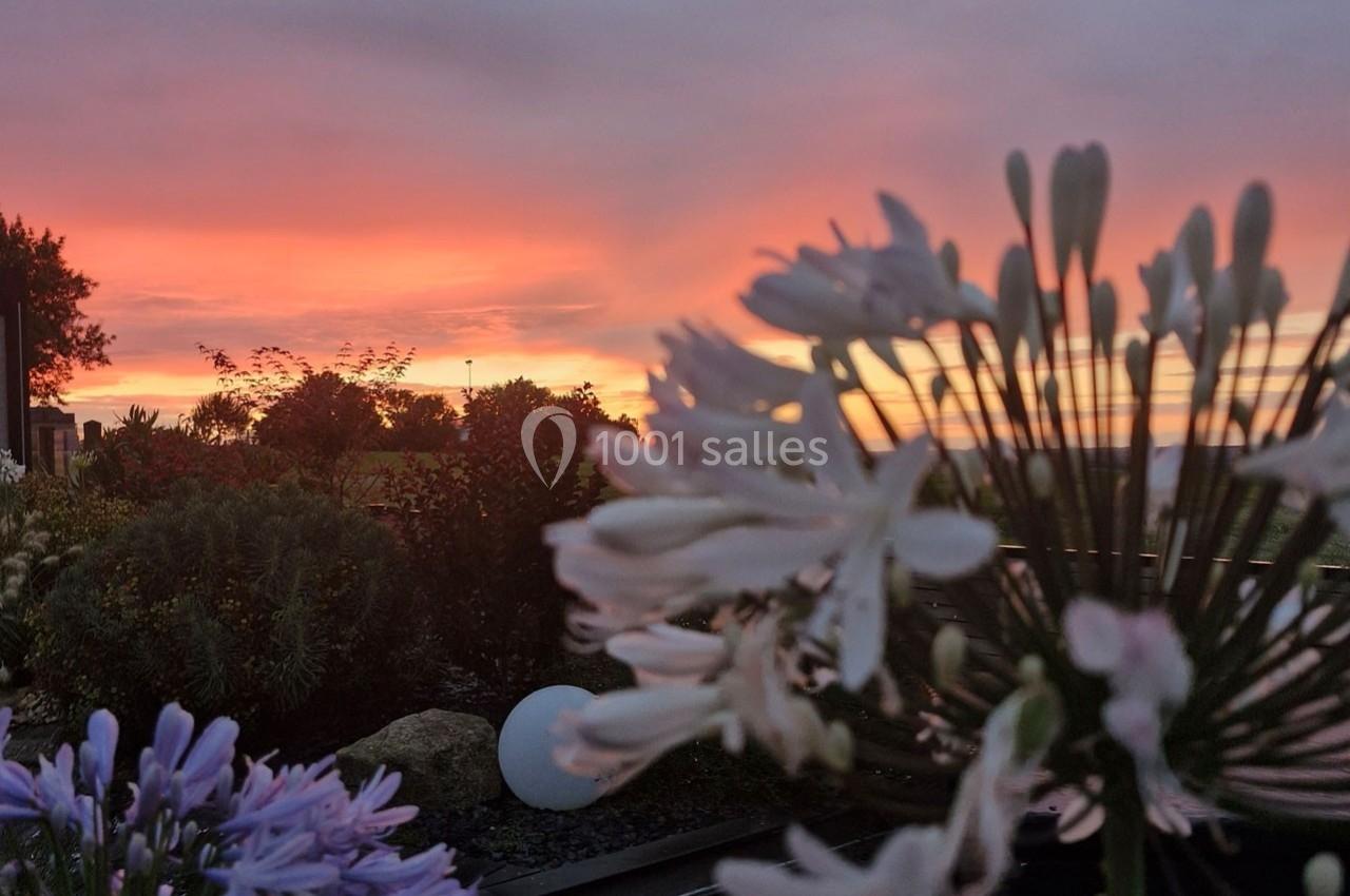 Coucher de soleil aux teintes roses et orangées, avec des fleurs blanches et violettes au premier plan.