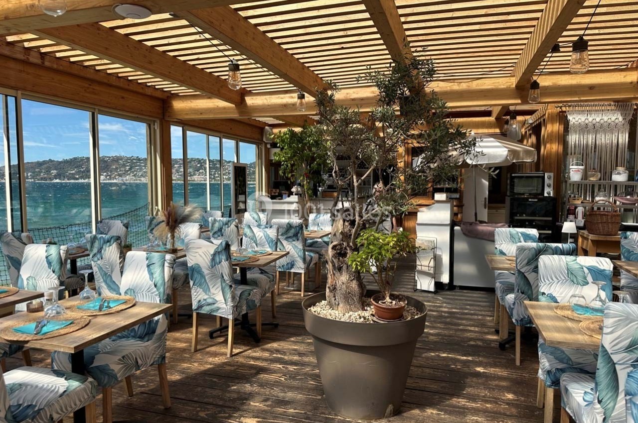 Salle de restaurant lumineuse avec vue sur la mer, mobilier décoré de motifs végétaux et grand olivier en pot.
