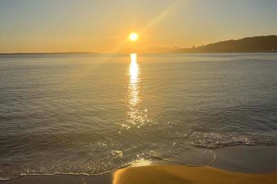 Plateau en bois avec verrines garnies de crevettes, tomates, olives et herbes fraîches, disposées sur une nappe beige.
