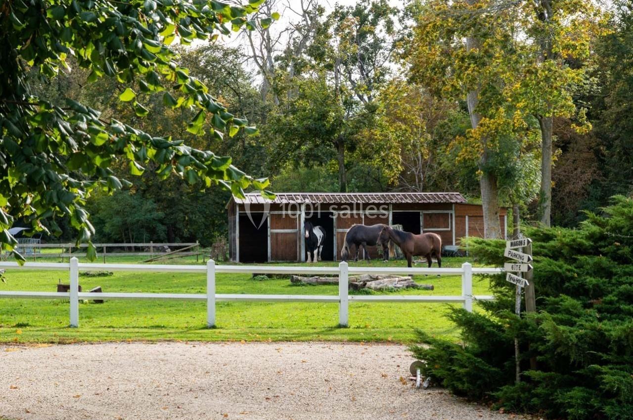 Des chevaux broutent devant un abri en bois dans un pré entouré d'arbres et de clôtures blanches.
