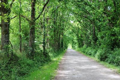 Salle lumineuse avec poutres apparentes, tables dressées et grande baie vitrée donnant sur un extérieur verdoyant.