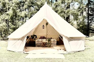 Tentes blanches installées dans une prairie verdoyante entourée d'arbres sous un ciel bleu clair.