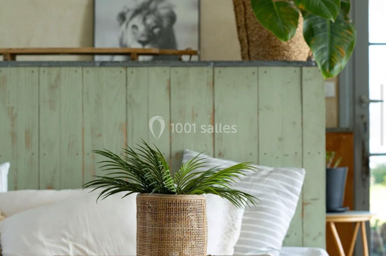 Plante verte dans un pot en osier posé sur une table en bois, devant un lit et une cloison en bois peint vert.