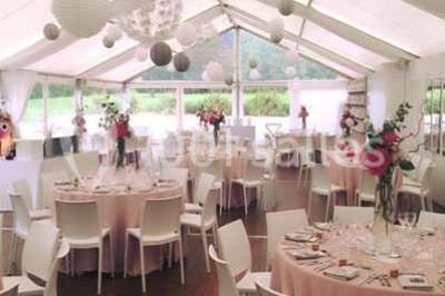 Glycine en fleurs grimpant sur une pergola, avec une maison en briques et des arbustes en arrière-plan.