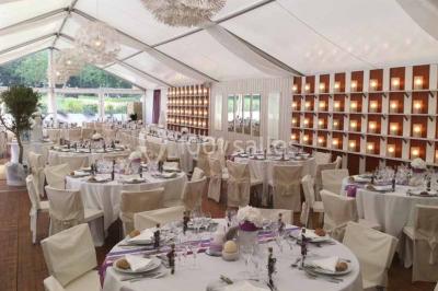 Glycine en fleurs grimpant sur une pergola, avec une maison en briques et des arbustes en arrière-plan.