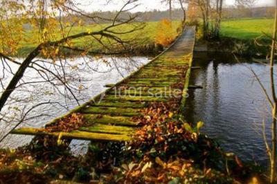 Allée bordée de sacs blancs menant à une tente blanche dans un parc verdoyant par temps ensoleillé.