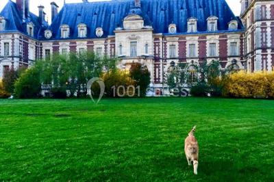 Allée bordée de sacs blancs menant à une tente blanche dans un parc verdoyant par temps ensoleillé.