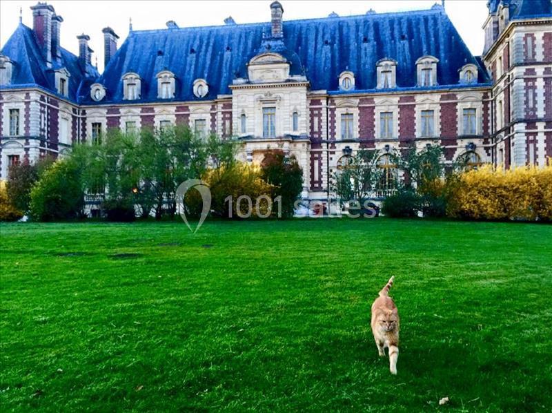 Un chat roux marche sur une pelouse verte devant un bâtiment historique en pierre et briques rouges.