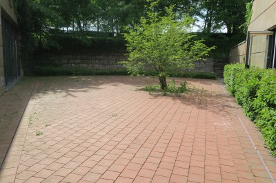 Miniature Location salle Saint-Cyr-sur-Menthon (Ain) - Domaine des Saveurs - Les Planons #11 Cour pavée avec un petit arbre au centre, entourée de bâtiments et de haies verdoyantes sous un ciel dégagé.