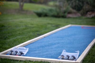 Terrain de pétanque miniature avec tapis bleu, entouré d'herbe, et boules rangées dans des supports aux extrémités.
