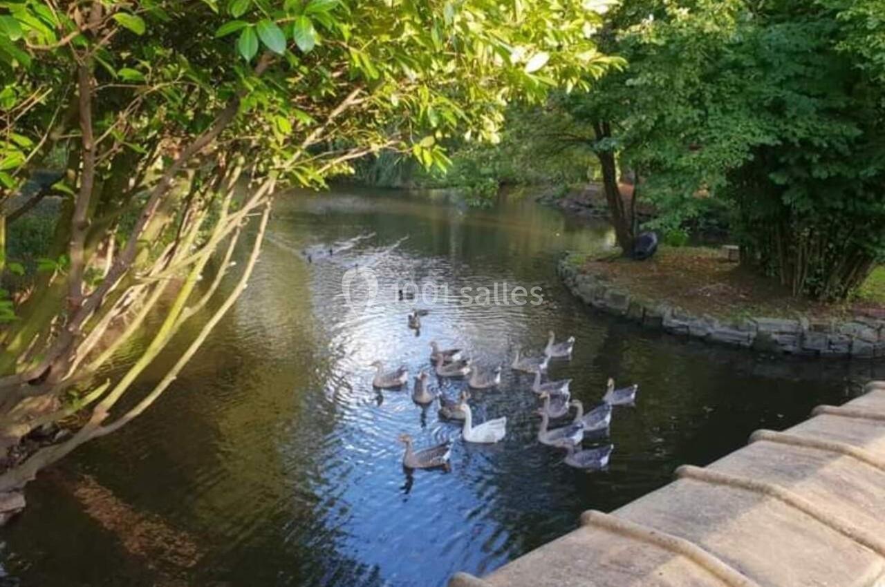Groupe de canards nageant sur un étang entouré de verdure et bordé d'arbres.