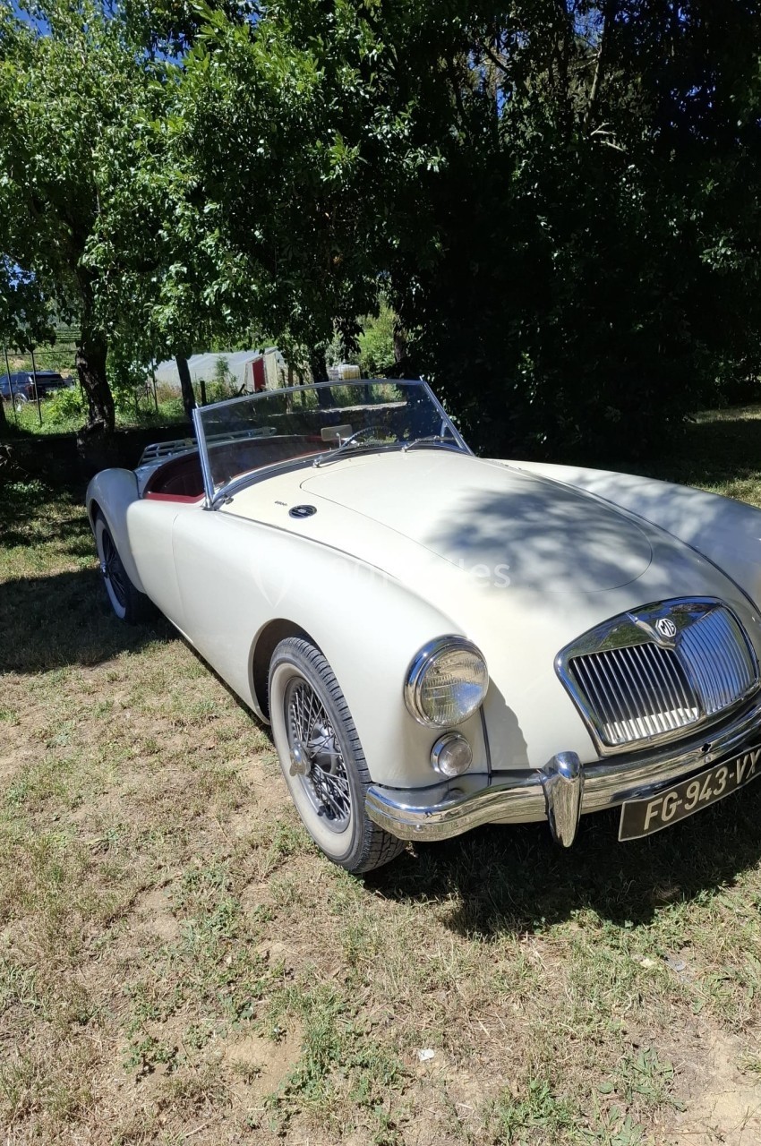 Voiture ancienne décapotable beige stationnée sur une pelouse, entourée d'arbres en arrière-plan.