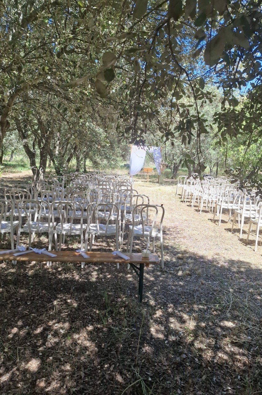 Chaises blanches disposées en rangées sous des arbres, formant un espace extérieur pour une cérémonie.