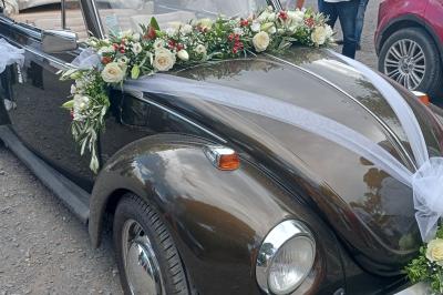Salon lumineux avec canapé turquoise, coussins colorés, télévision, tapis en fibres naturelles et vue sur une cuisine…