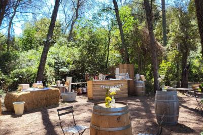 Miniature Anniversaires - Comportes fleuries - La Clairière d'Arluc Buffet en plein air avec des amuse-bouches variés, des planches de charcuterie et des fromages sur des tables en bois.