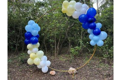 Miniature Arche de ballons - La Clairière d'Arluc Buffet en plein air avec des amuse-bouches variés, des planches de charcuterie et des fromages sur des tables en bois.