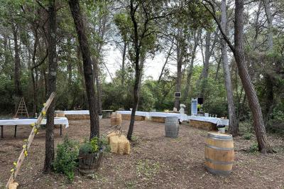 Miniature Baptême - La Clairière d'Arluc Buffet en plein air avec des amuse-bouches variés, des planches de charcuterie et des fromages sur des tables en bois.