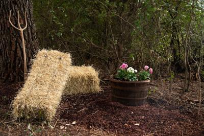 Miniature Comportes fleuries - La Clairière d'Arluc Buffet en plein air avec des amuse-bouches variés, des planches de charcuterie et des fromages sur des tables en bois.