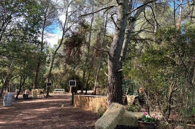 Miniature Entrée - La Clairière d'Arluc Buffet en plein air avec des amuse-bouches variés, des planches de charcuterie et des fromages sur des tables en bois.