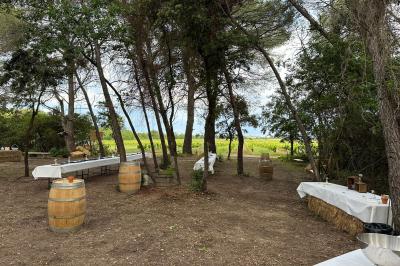 Miniature Mise en table - La Clairière d'Arluc Buffet en plein air avec des amuse-bouches variés, des planches de charcuterie et des fromages sur des tables en bois.