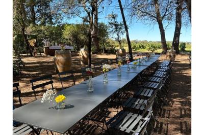 Miniature Repas d'anniversaire vue sur vignes - La Clairière d'Arluc Buffet en plein air avec des amuse-bouches variés, des planches de charcuterie et des fromages sur des tables en bois.