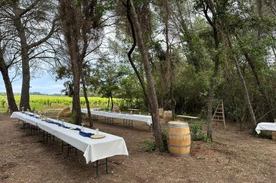La Clairière d'Arluc La Clairière d'Arluc