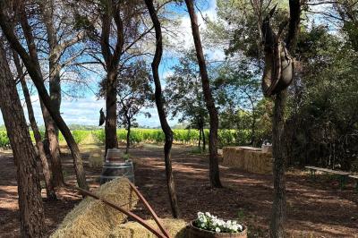 Miniature Vue sur les vignes - La Clairière d'Arluc Buffet en plein air avec des amuse-bouches variés, des planches de charcuterie et des fromages sur des tables en bois.