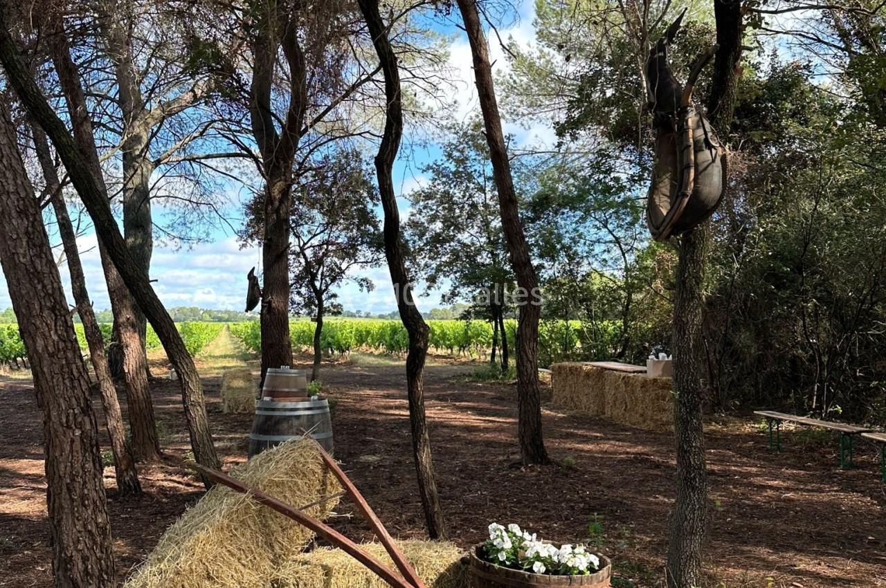 Un espace naturel avec des arbres, des bottes de foin, une brouette et un tonneau fleuri sous un ciel partiellement dégagé.