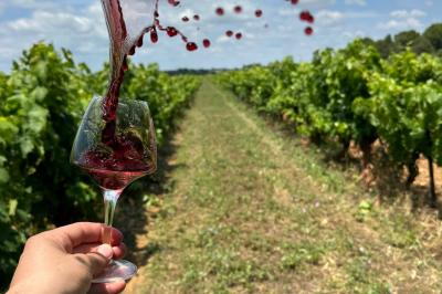 Miniature Wine - La Clairière d'Arluc Buffet en plein air avec des amuse-bouches variés, des planches de charcuterie et des fromages sur des tables en bois.