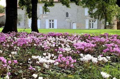 Vue sur un jardin avec pelouse, allées en gravier, parterre de fleurs rouges et bâtiments en pierre sous un ciel dégagé.