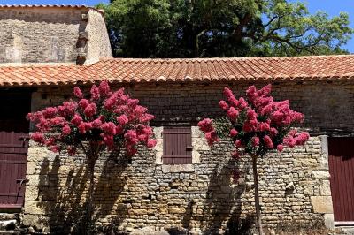 Vue sur un jardin avec pelouse, allées en gravier, parterre de fleurs rouges et bâtiments en pierre sous un ciel dégagé.
