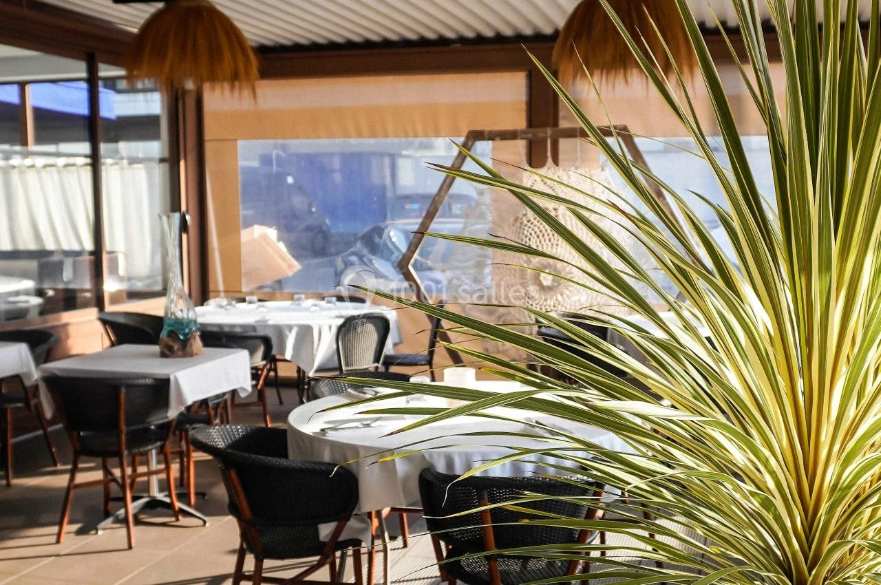 Salle de restaurant lumineuse avec tables dressées, chaises noires et une plante au premier plan.