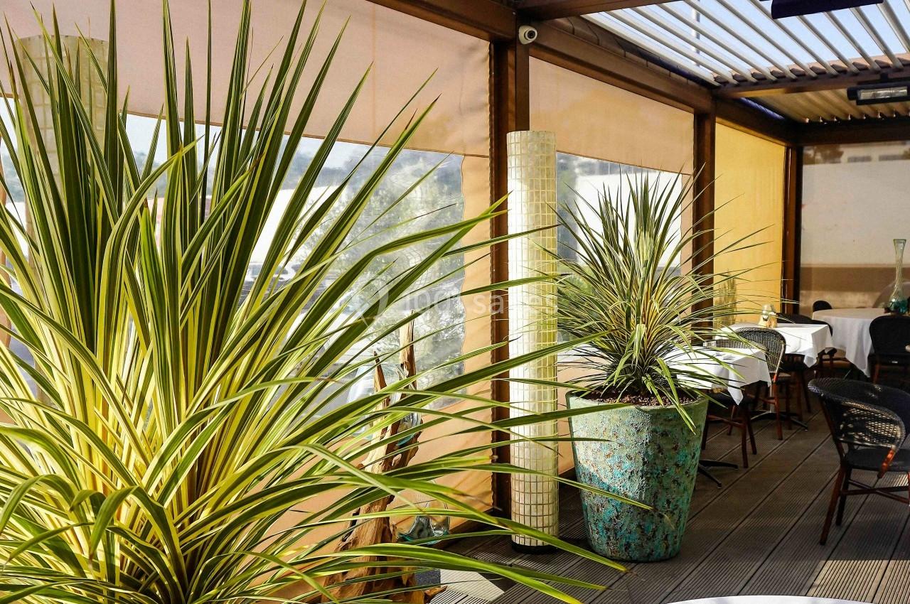 Plantes vertes en pot décorant une terrasse couverte avec des tables et des chaises disposées en arrière-plan.