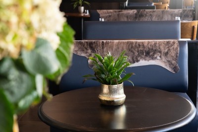 Trois cocktails variés sur une table en bois, comprenant un verre de Lillet, un cocktail au martini et un verre de Negroni.