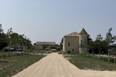 Chambre avec lit double, murs en pierre, poutres apparentes et éclairage doux, décorée de motifs muraux naturels.
